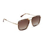 DIFF Jordan Dove Tortoise